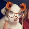 ashleetroxtell